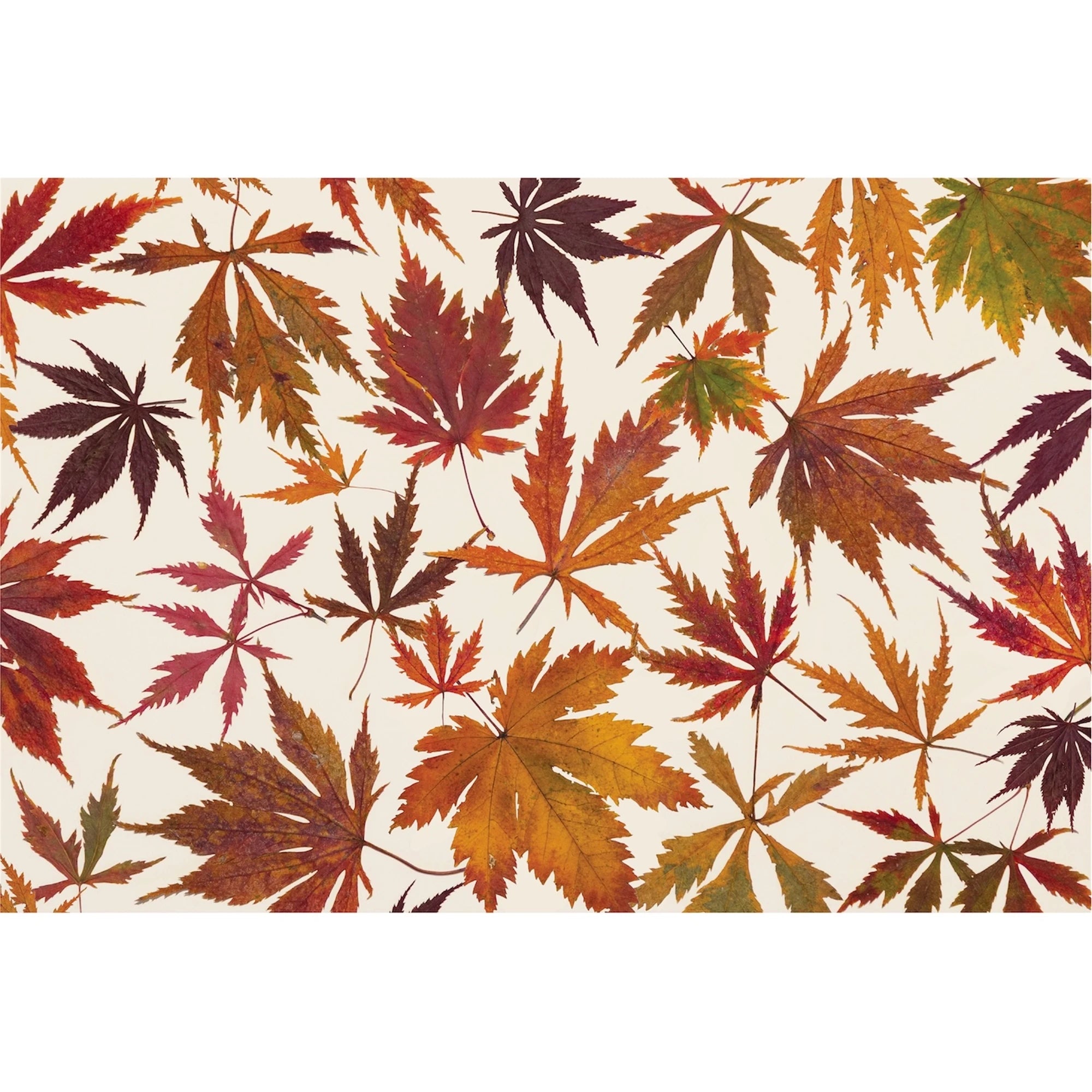 Japanese Maple Placemat Pad