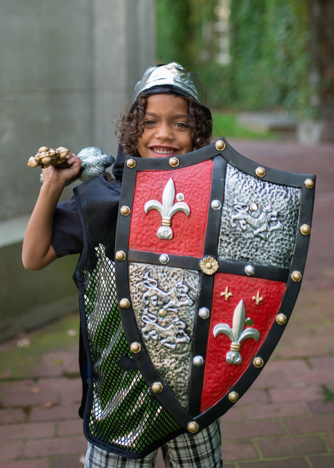 Knight Shield