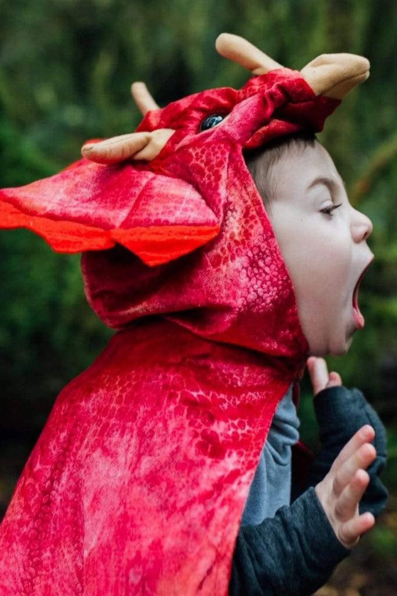 Triceratops Hooded Cape Red