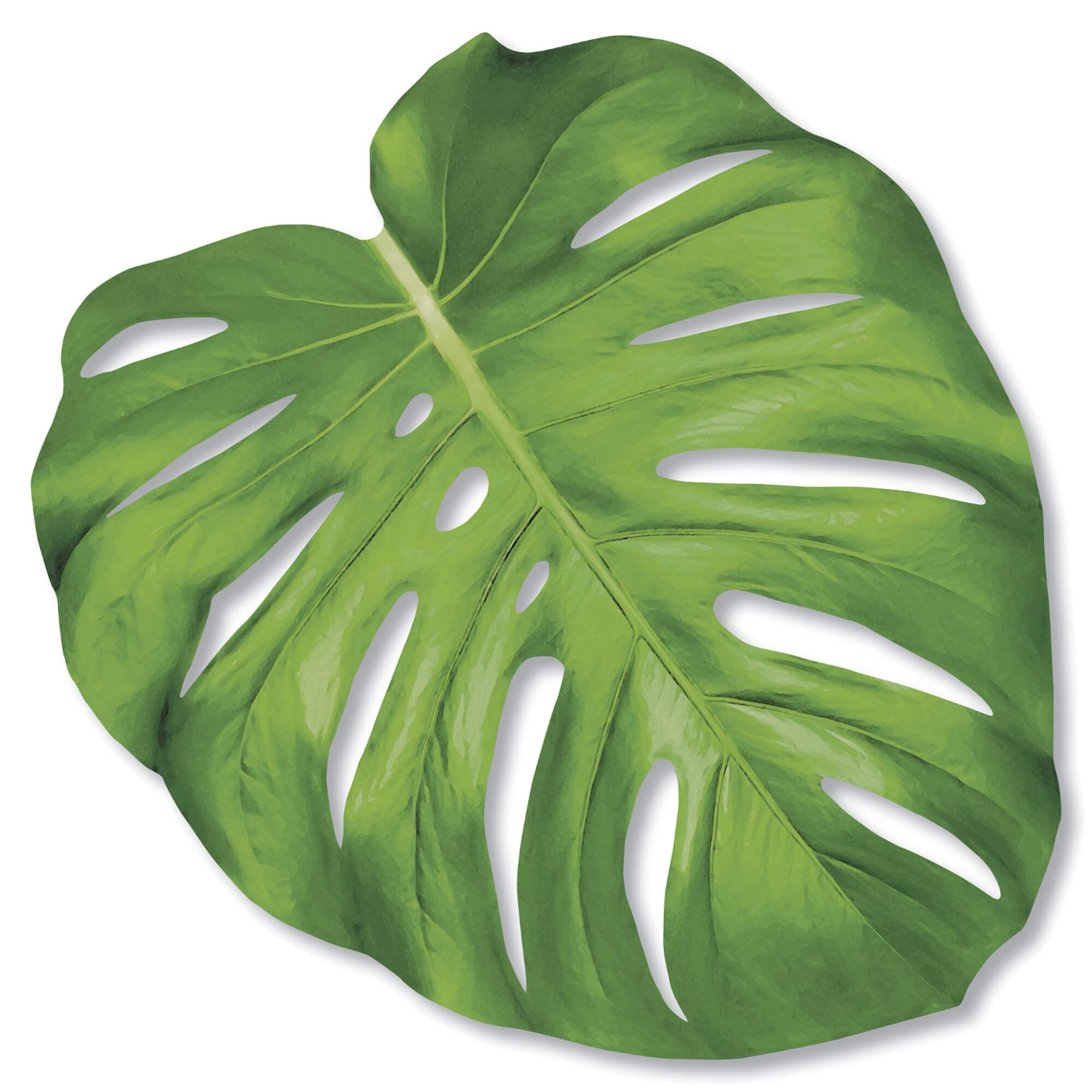 Placemats - Monstera Leaf