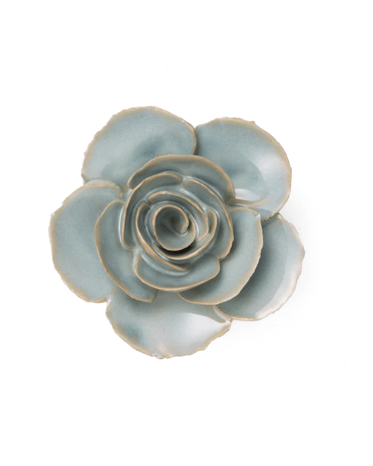 Milk Teal Elegance Ranunculus