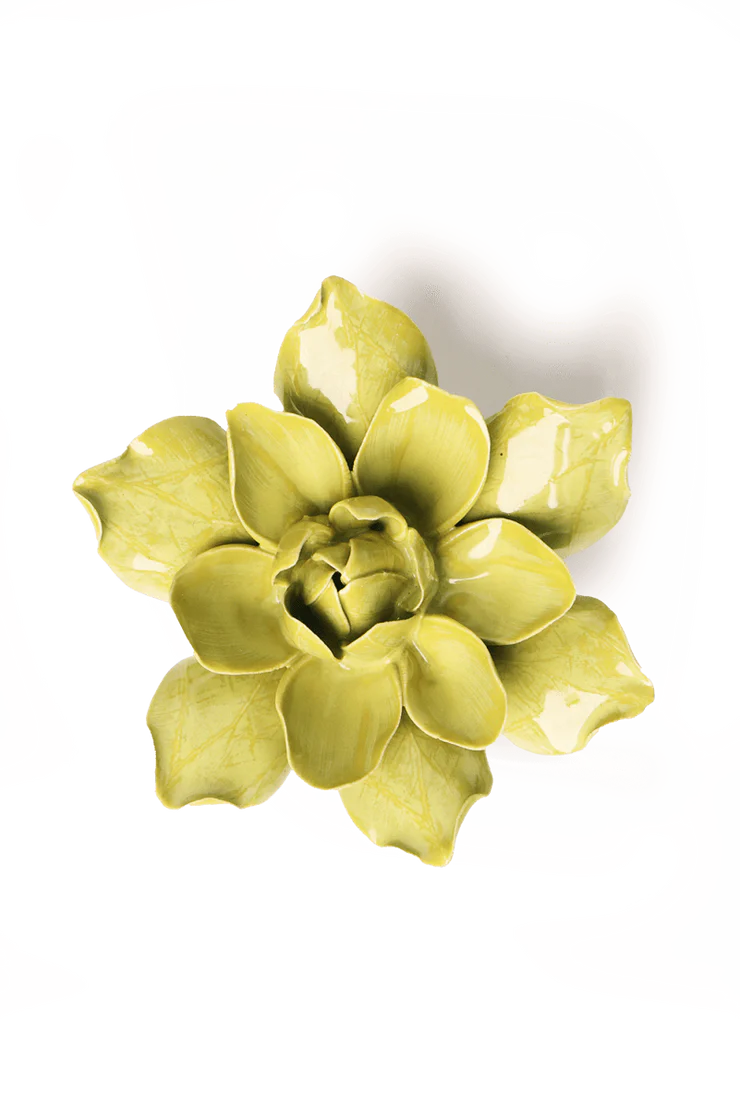 Chartreuse Columbine