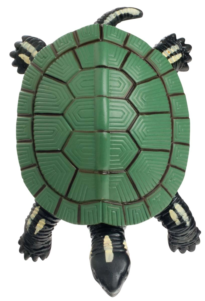 Turtle Squishimal
