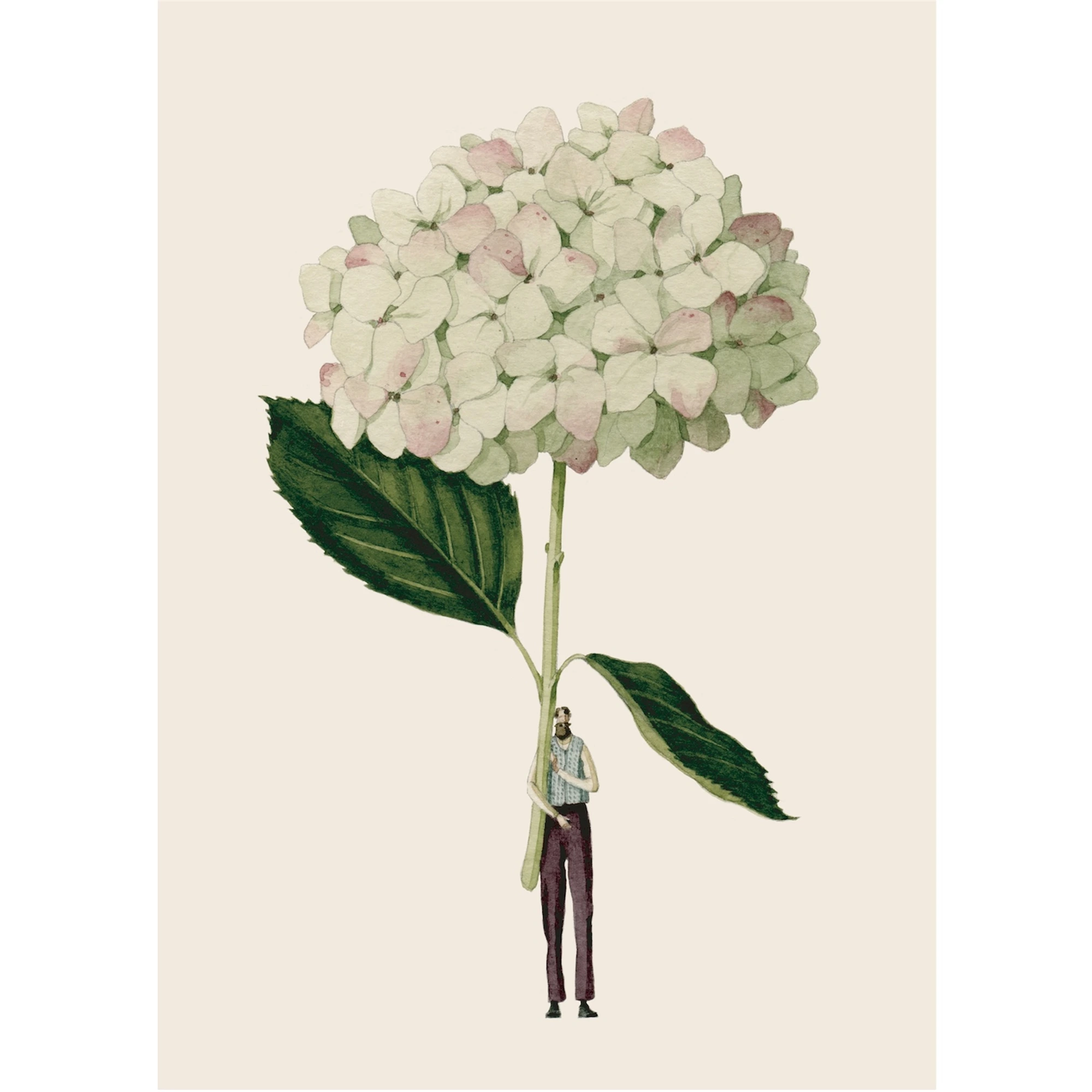 Green Hydrangea Card