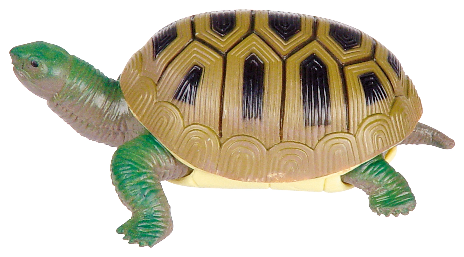 Turtle Squishimal