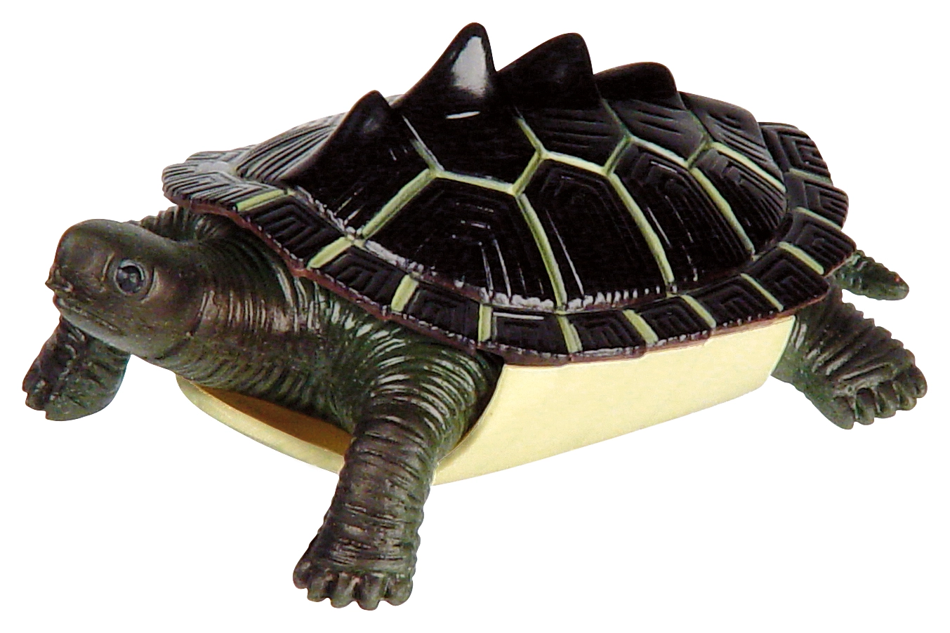 Turtle Squishimal