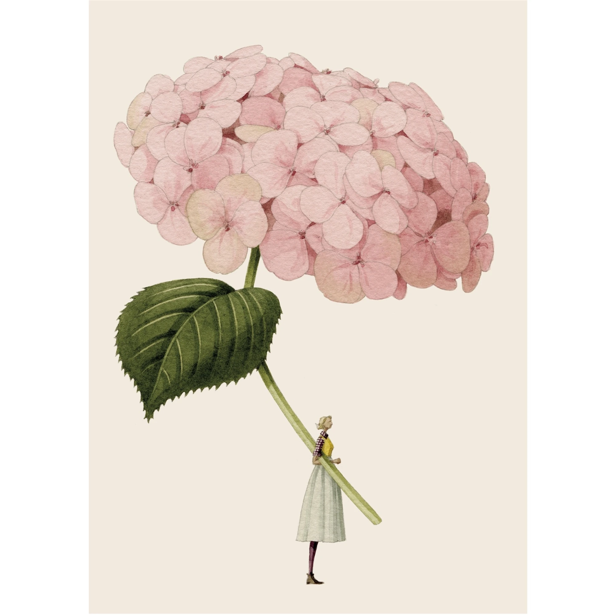 Pale Pink Hydrangea Card