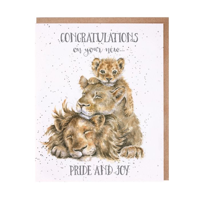 New Baby Card