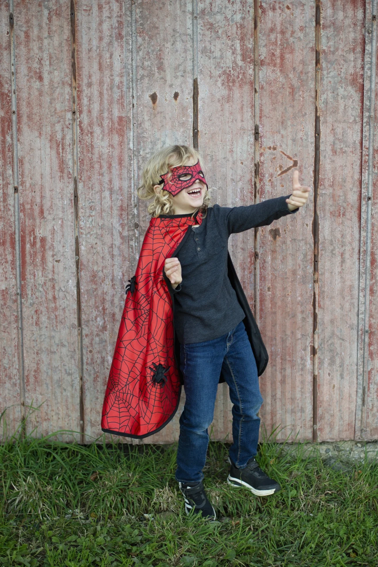 Reversible Spider/Bat Cape