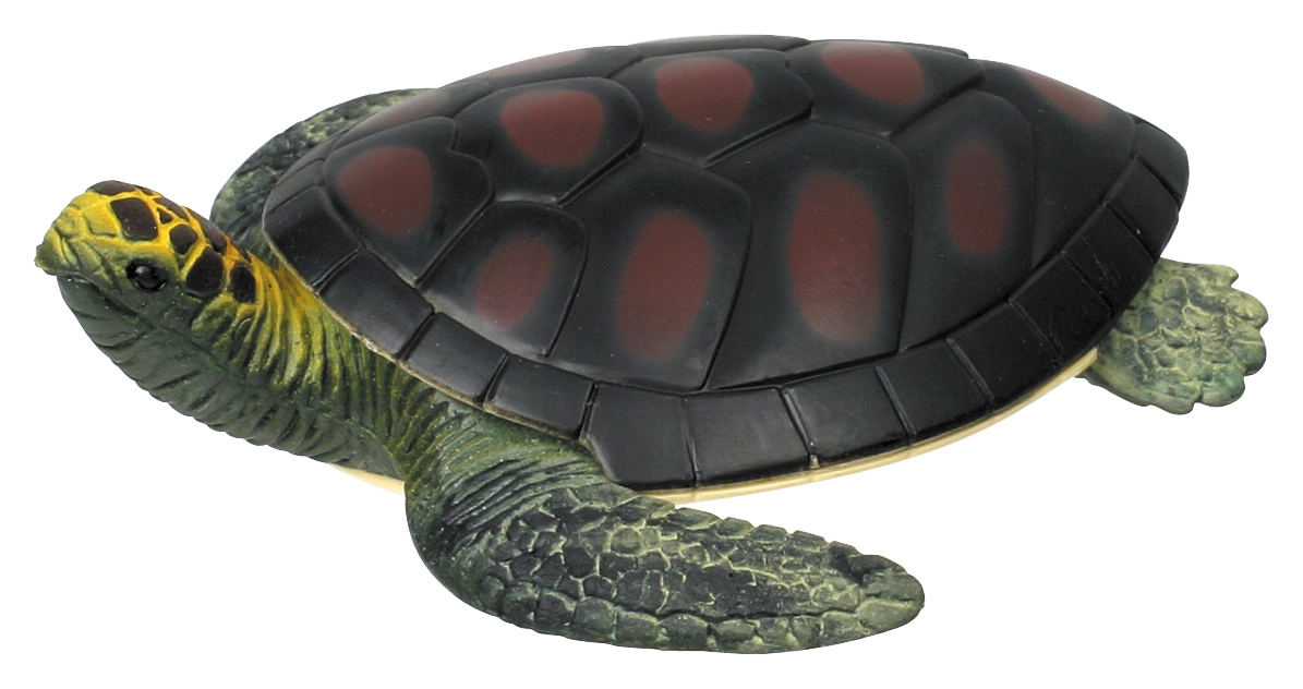 Turtle Squishimal