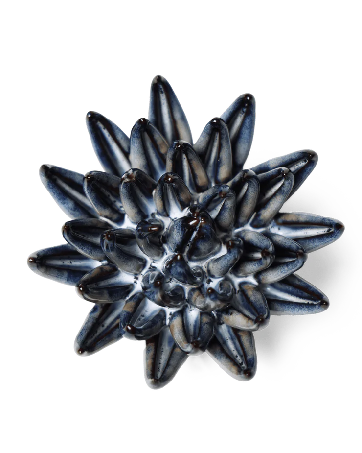 Navy Blue Chalksticks Succulent